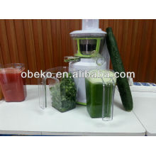 DC motor with the juicer with high quality